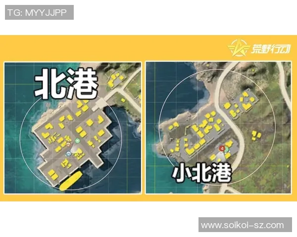 北京篮球队的快速转换战术解析与实战应用探讨